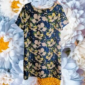 J.Crew Small short sleeve lined polyester blue yellow white woman's shift dress